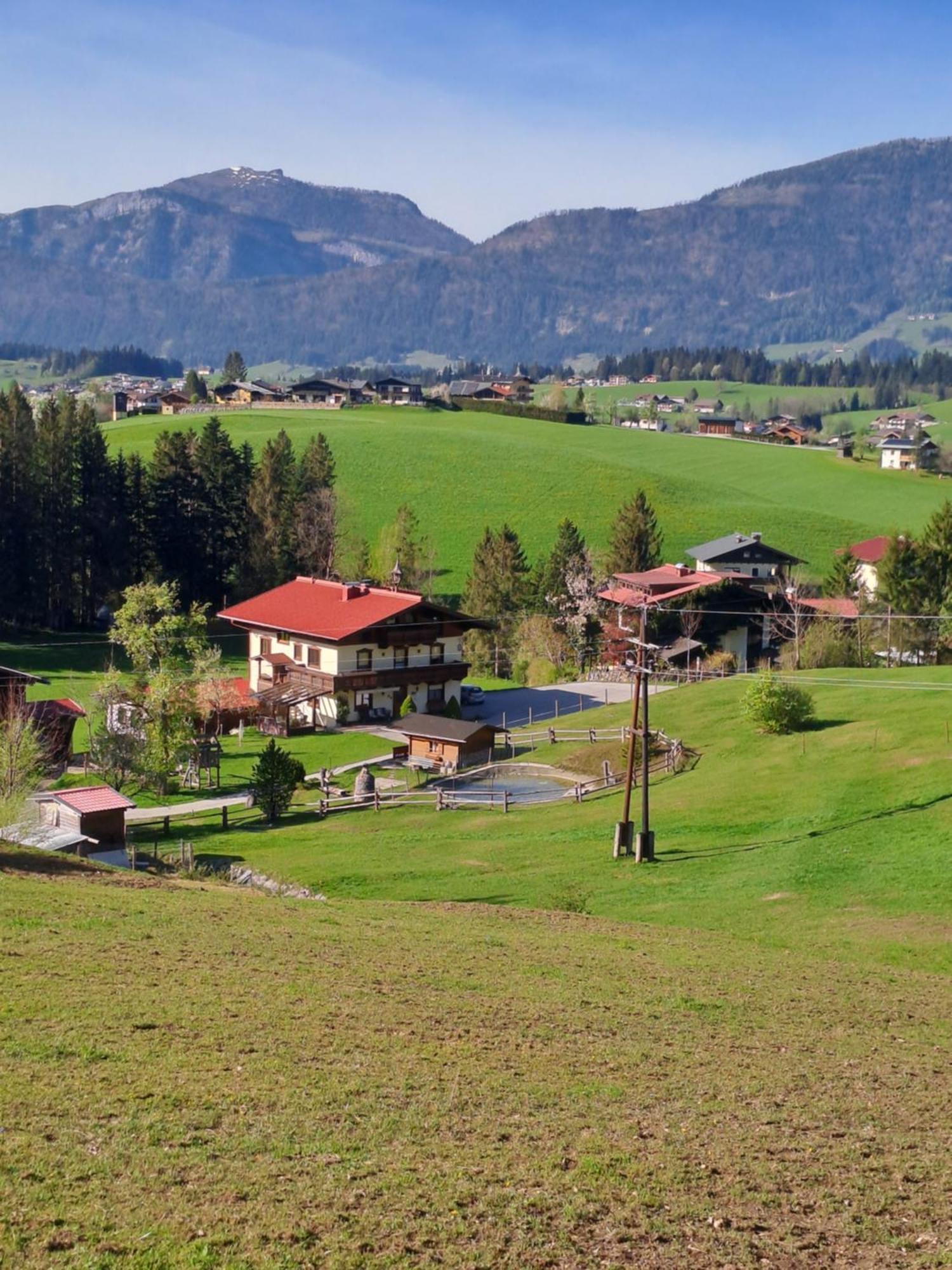 Haus Wallinger Абтенау Экстерьер фото